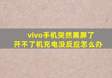 vivo手机突然黑屏了 开不了机充电没反应怎么办